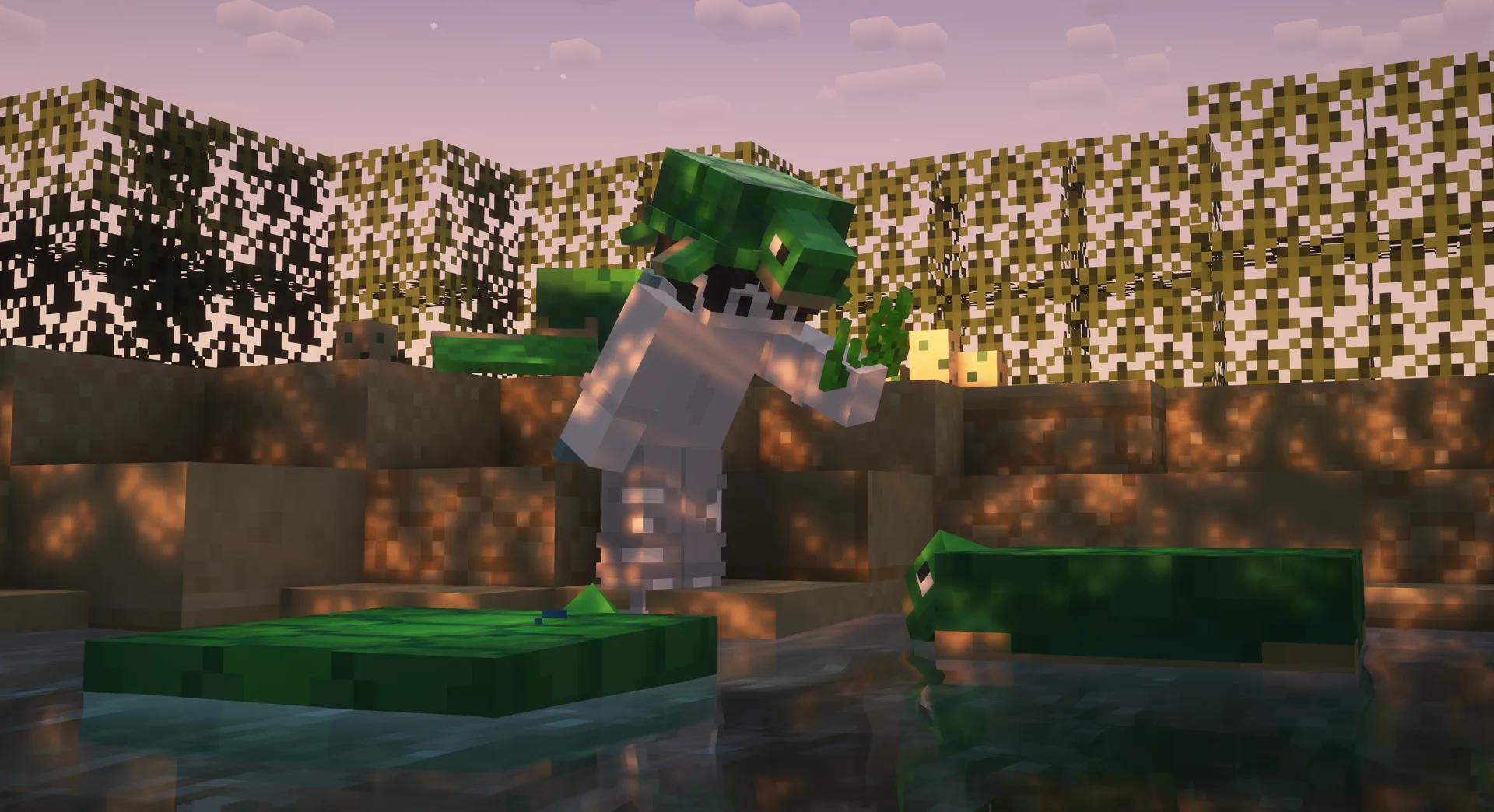 Изображение 2 ресурспака Lively Turtle Helmet