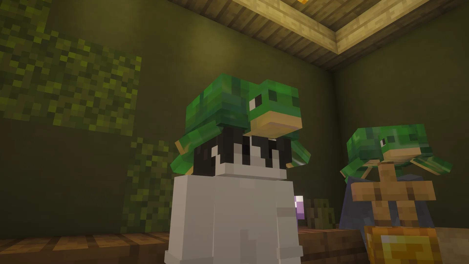 Lively Turtle Helmet