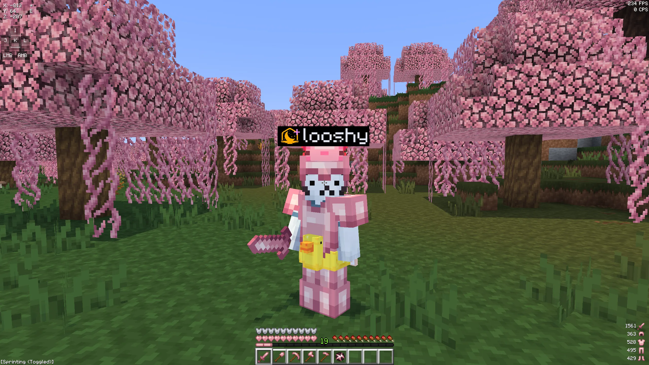 looshy pink overlay