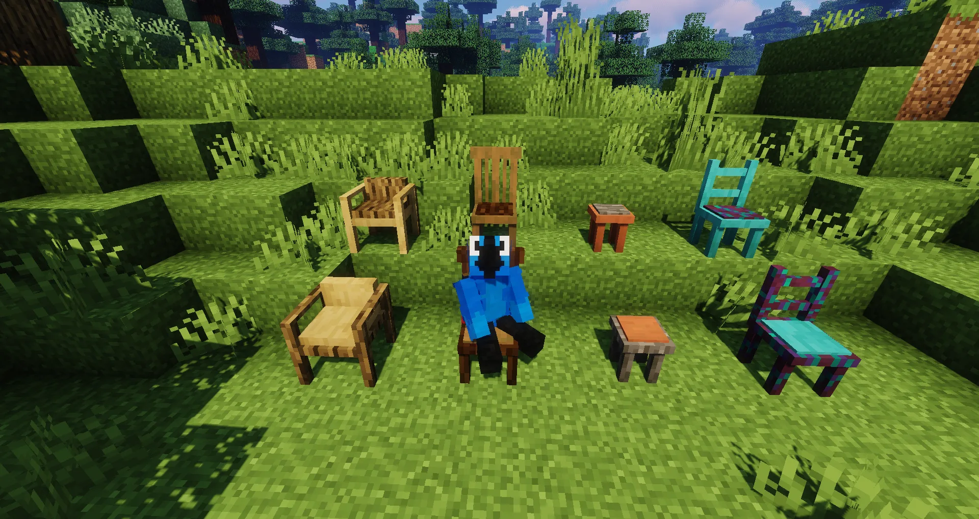 Macaw's Furniture