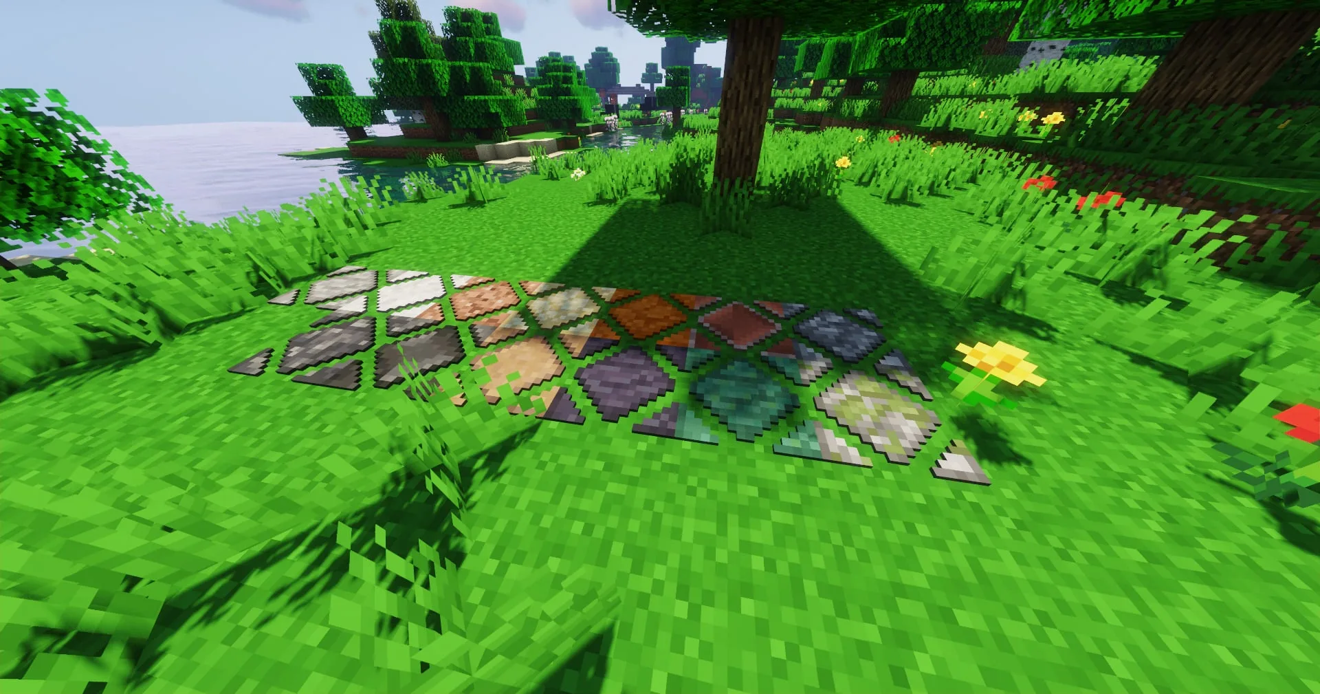 Macaw's Paths and Pavings