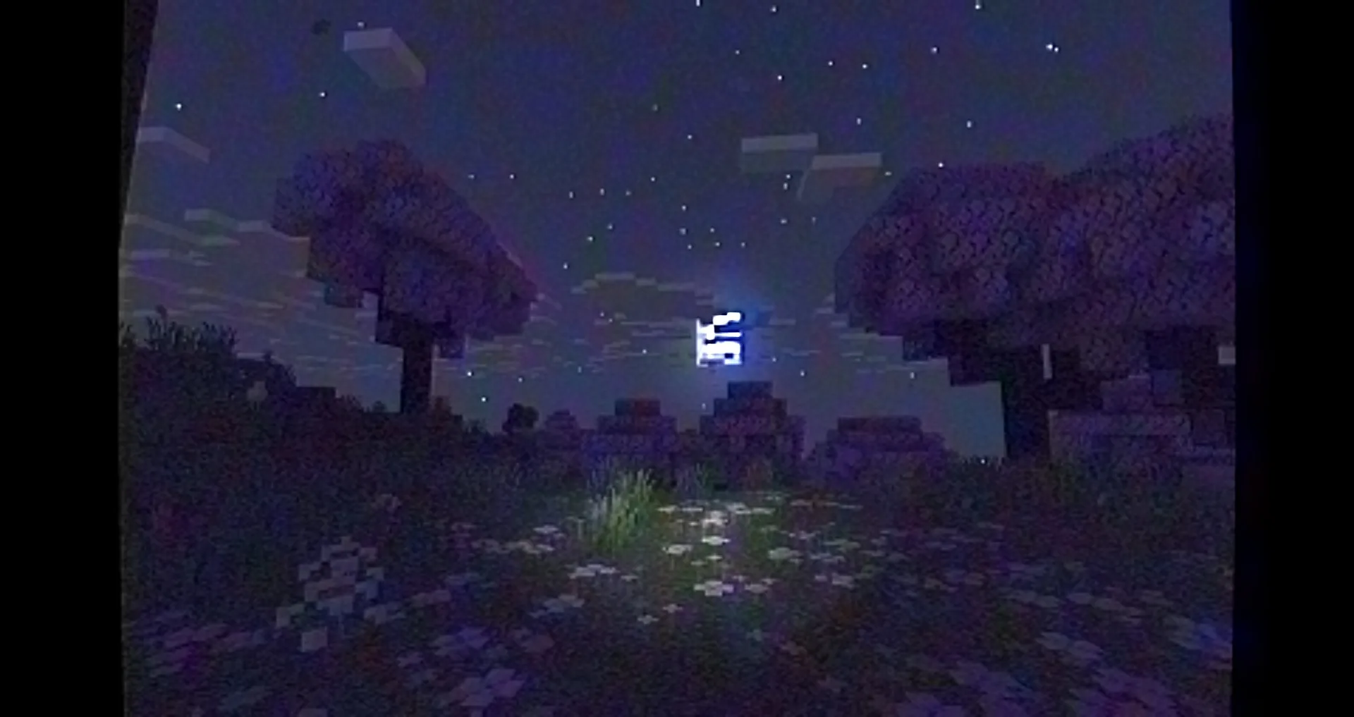 MC VHS