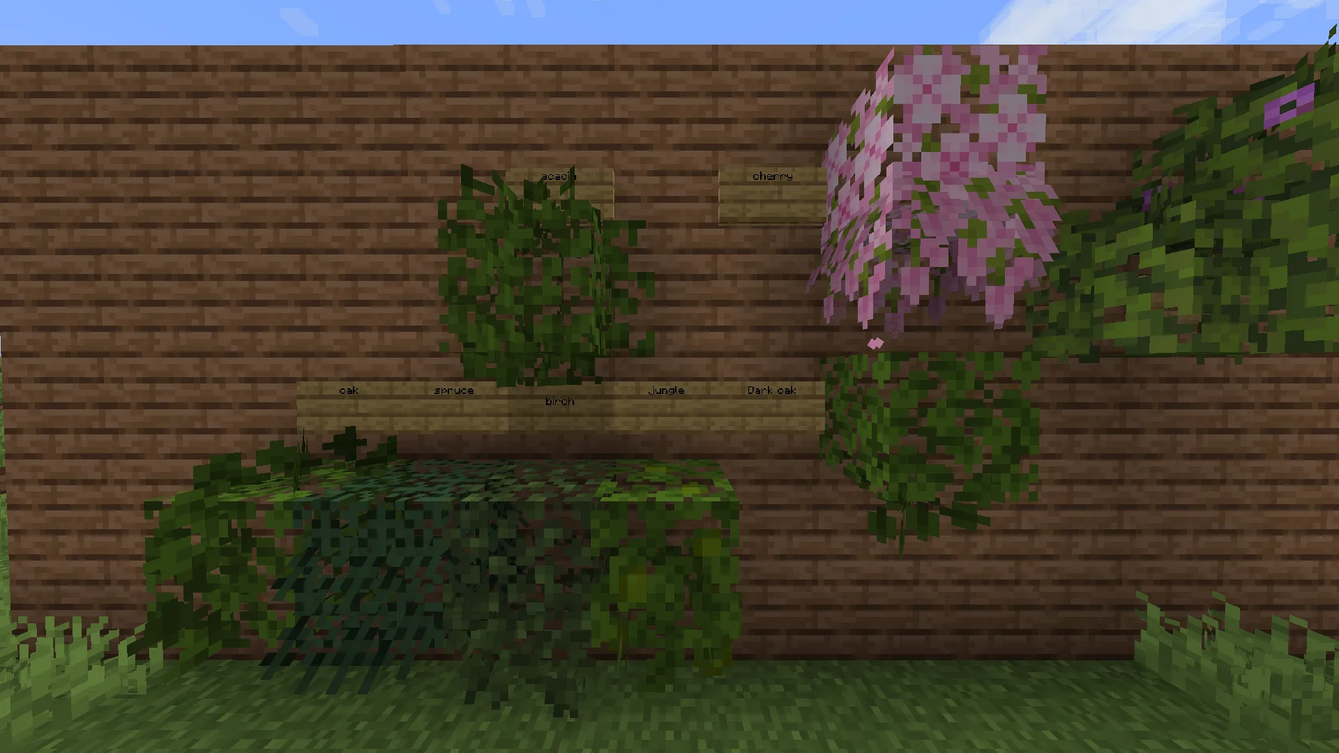 McAlive:LeafyLeaves