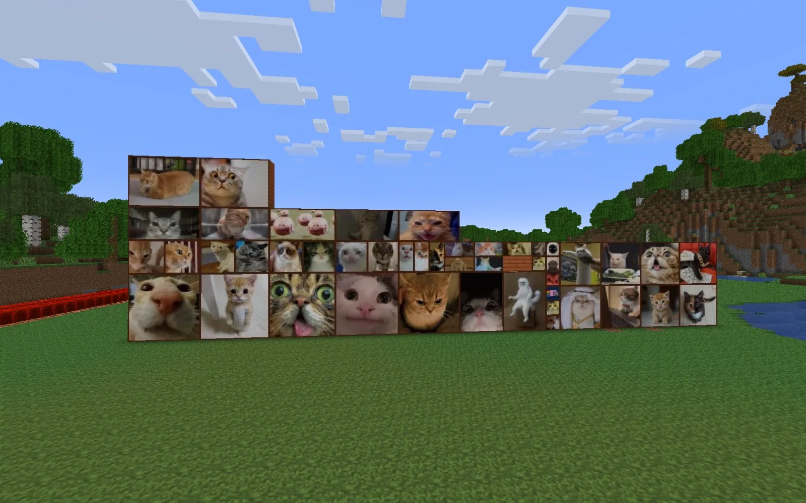 Meme Cat Paintings