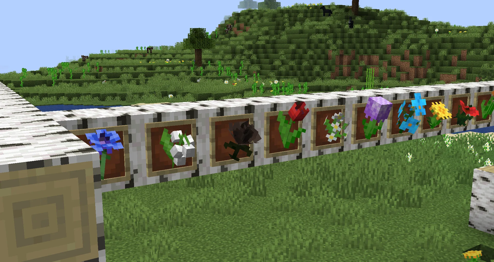 Mickey Joe's Flowers!