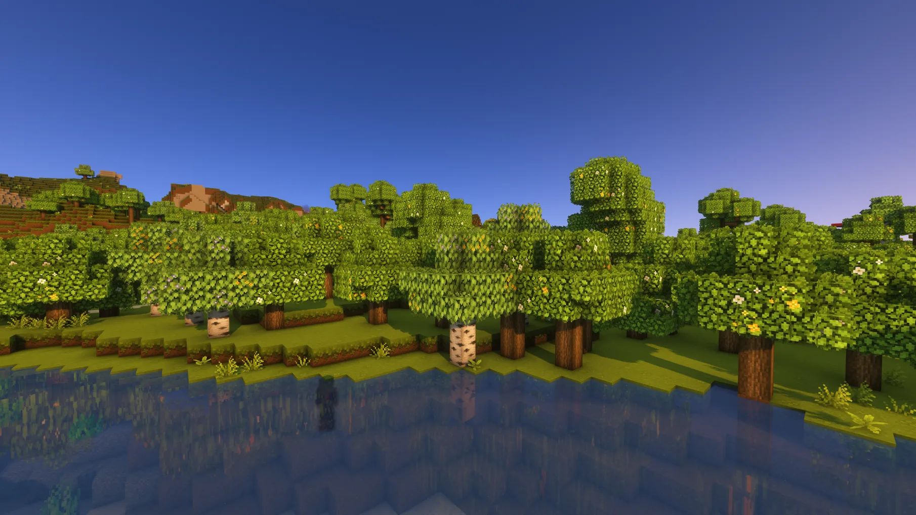 Mizuno Better Leaves