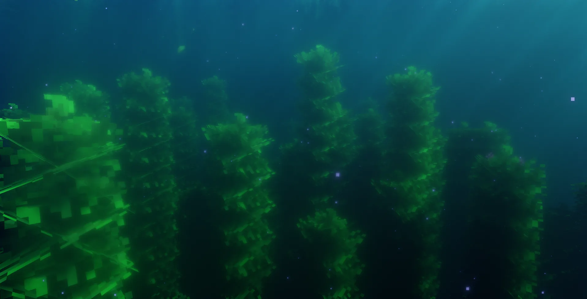 Montana's Bushier Kelp