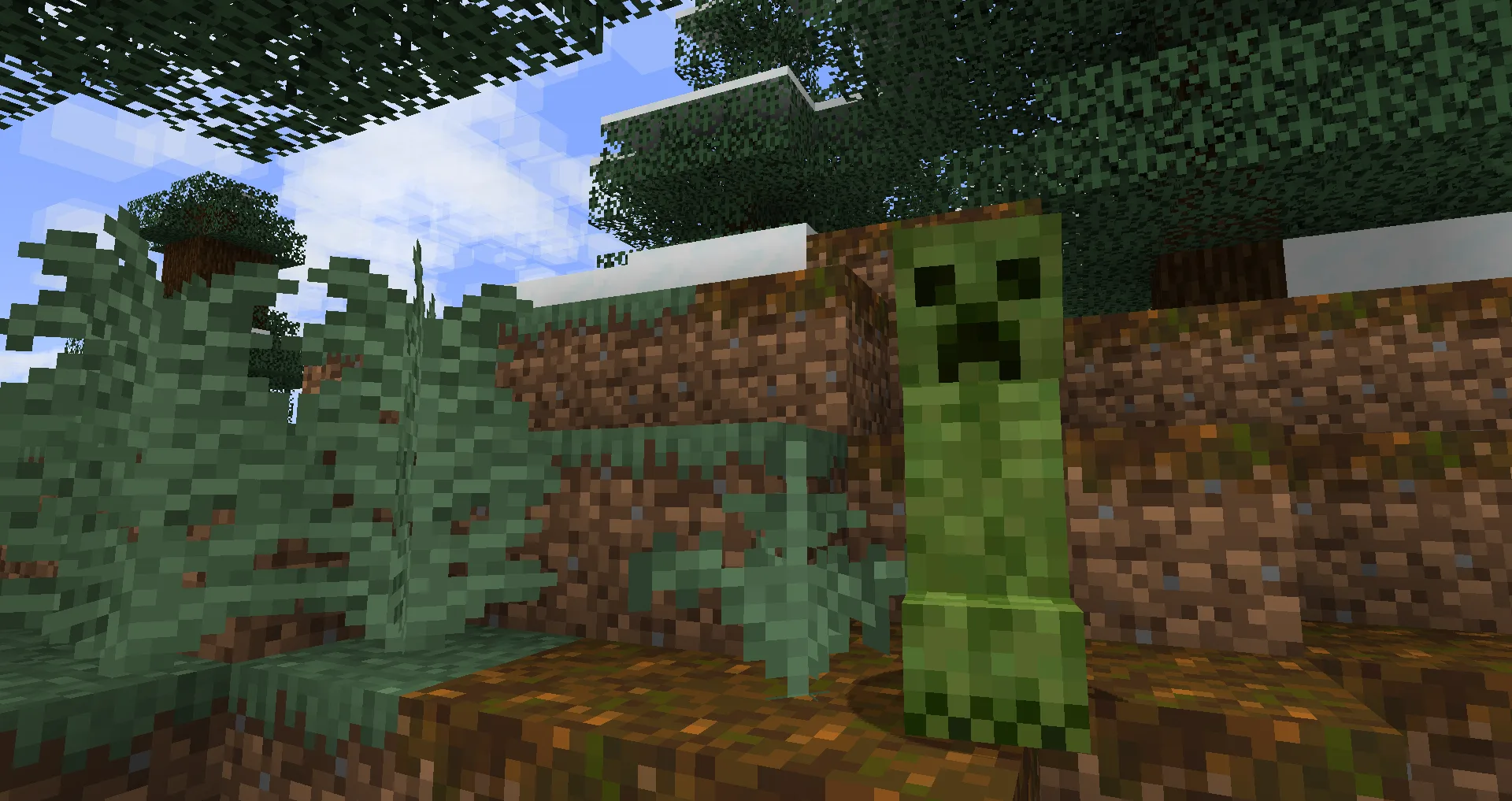 Moss Creepers