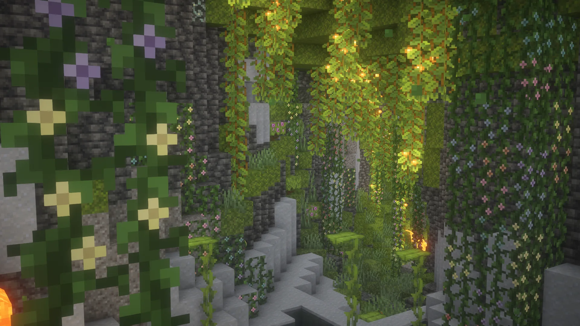 Multi-Color Flowering Vines