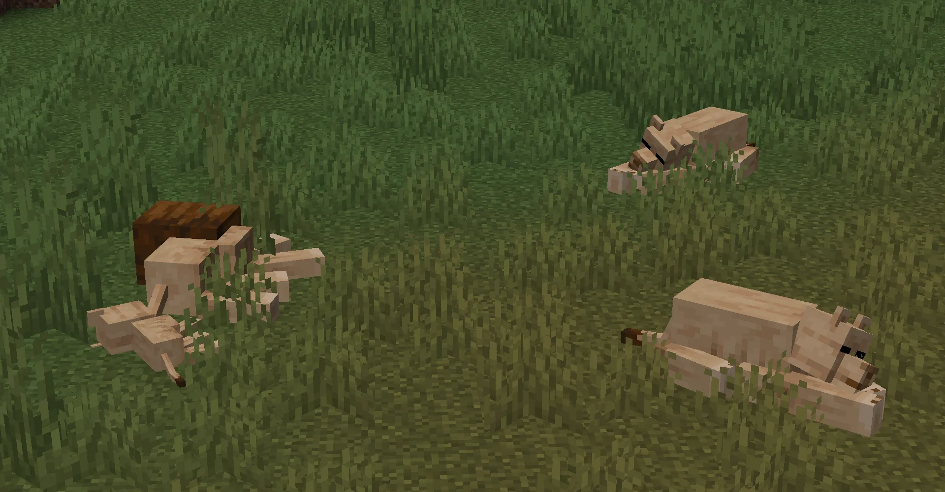 Изображение 5 мода Naturalist