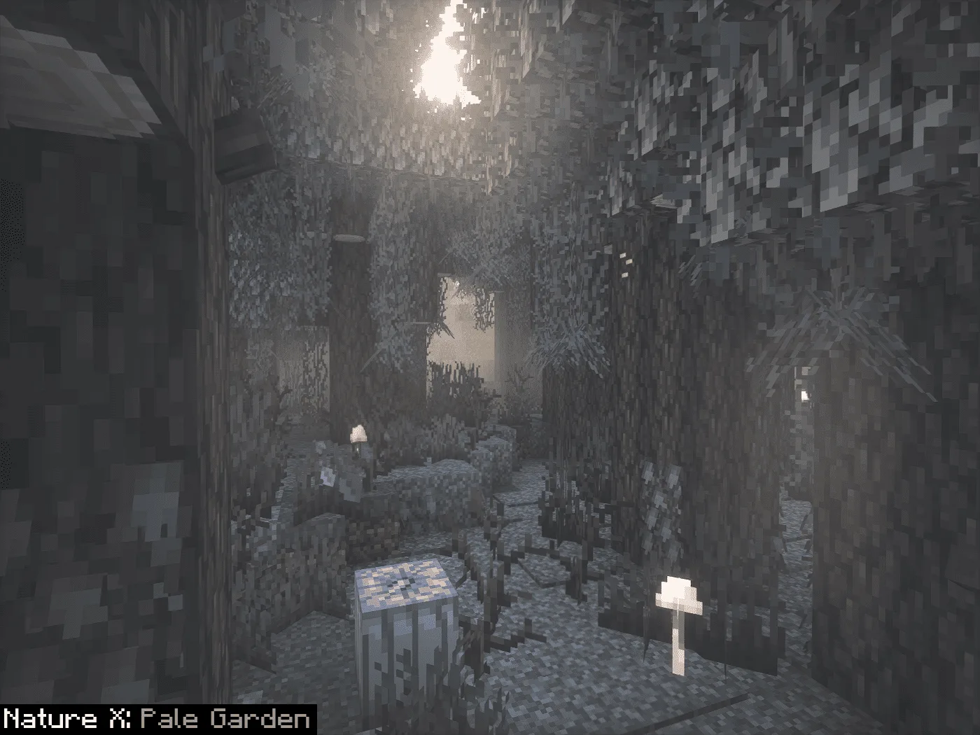 Изображение 1 ресурспака Nature X