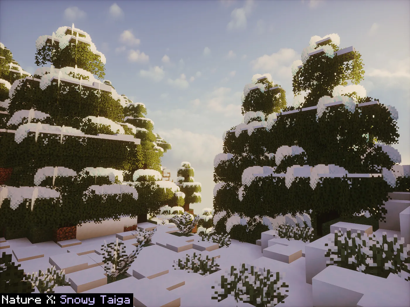 Изображение 5 ресурспака Nature X