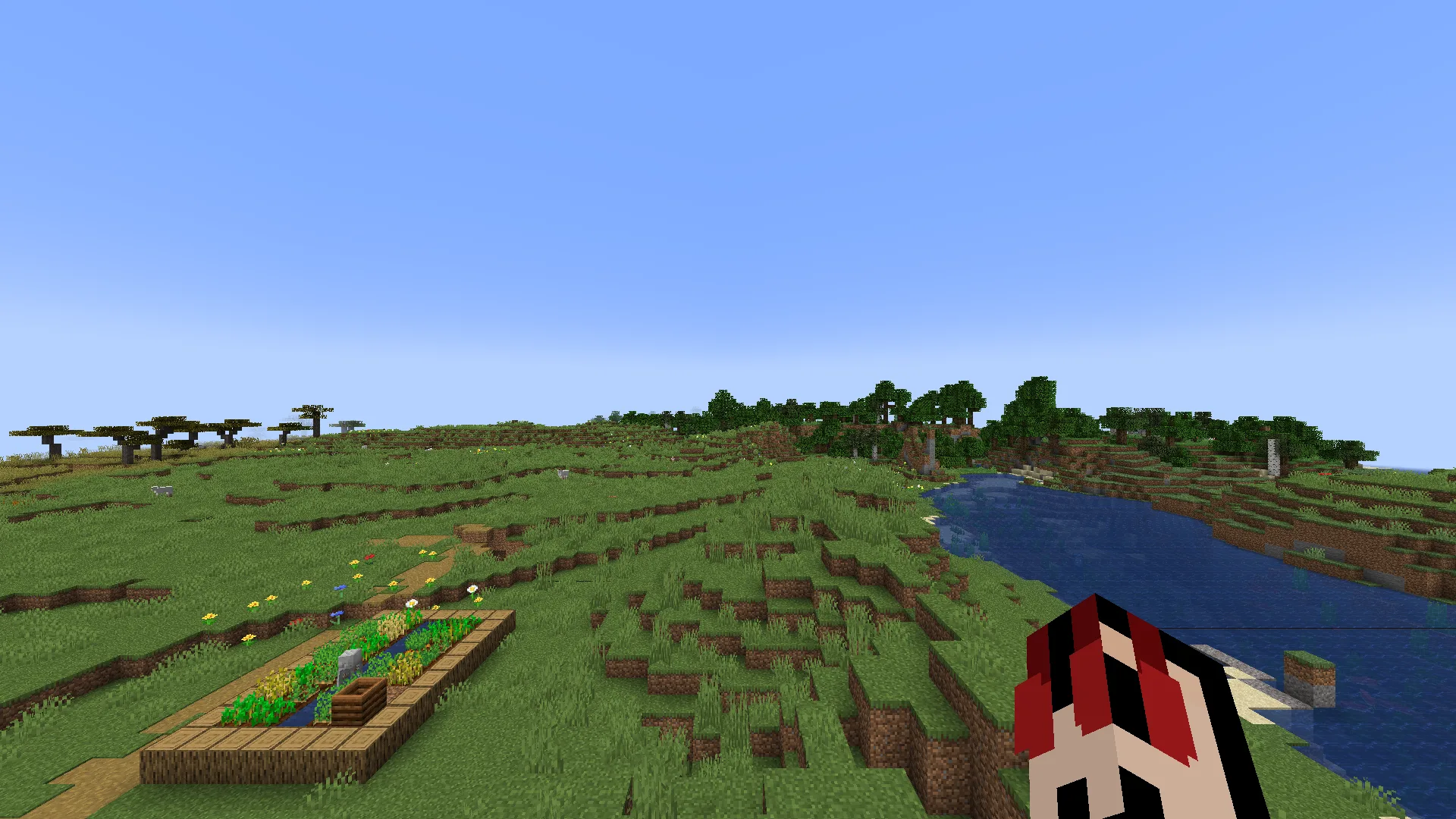 No HUD