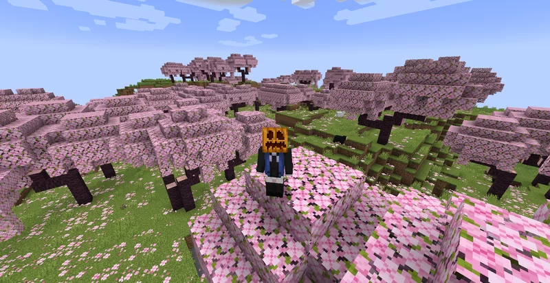 Изображение 2 ресурспака No Pumpkin Blur