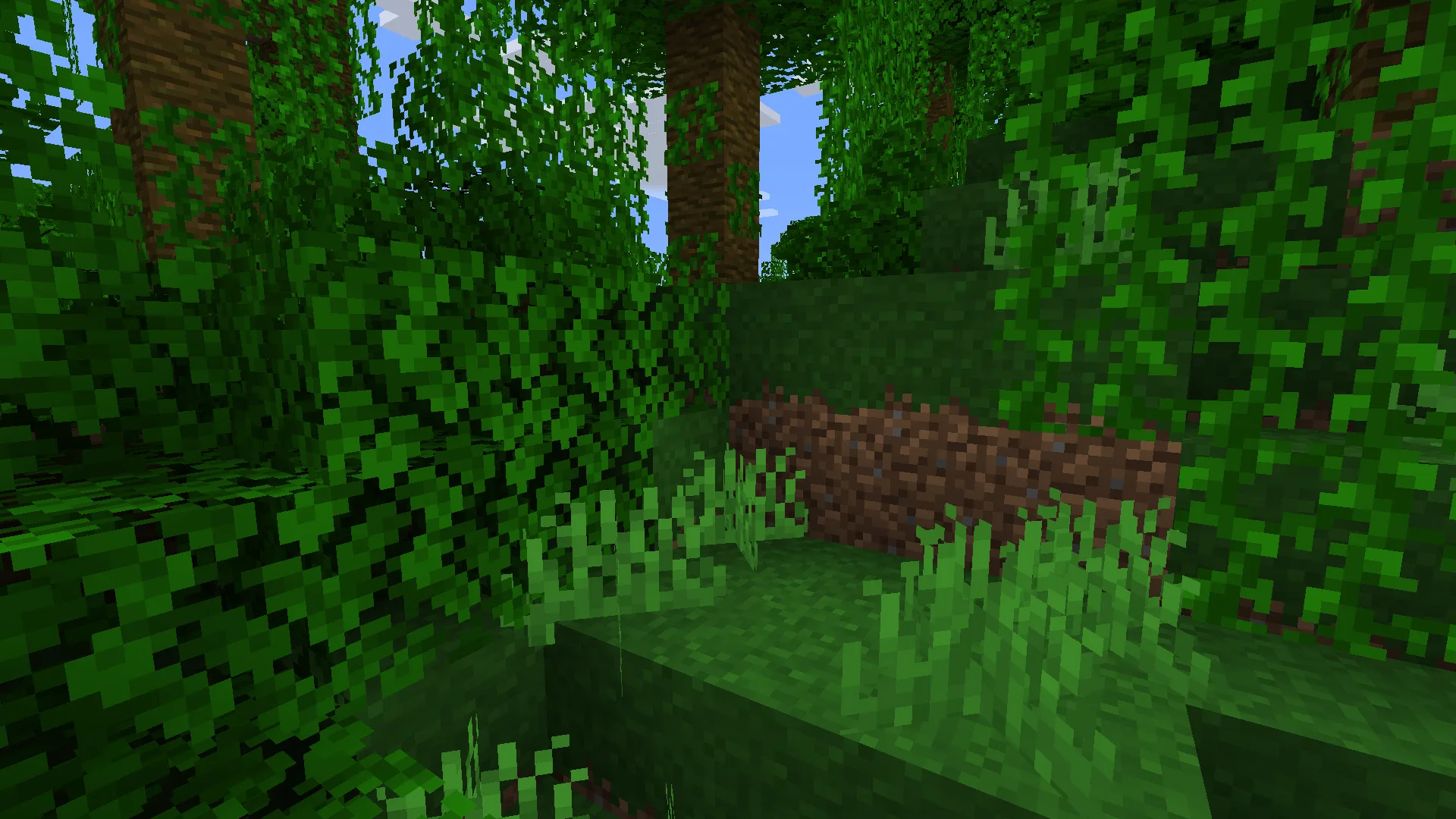 Noah's better grass
