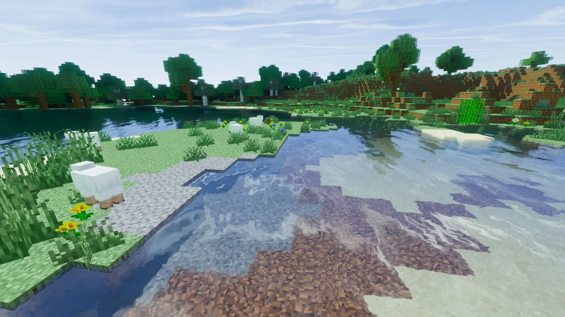 Изображение 2 шейдера Oct-Path