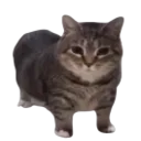 Изображение 2 ресурспака OIIAOIIA totem