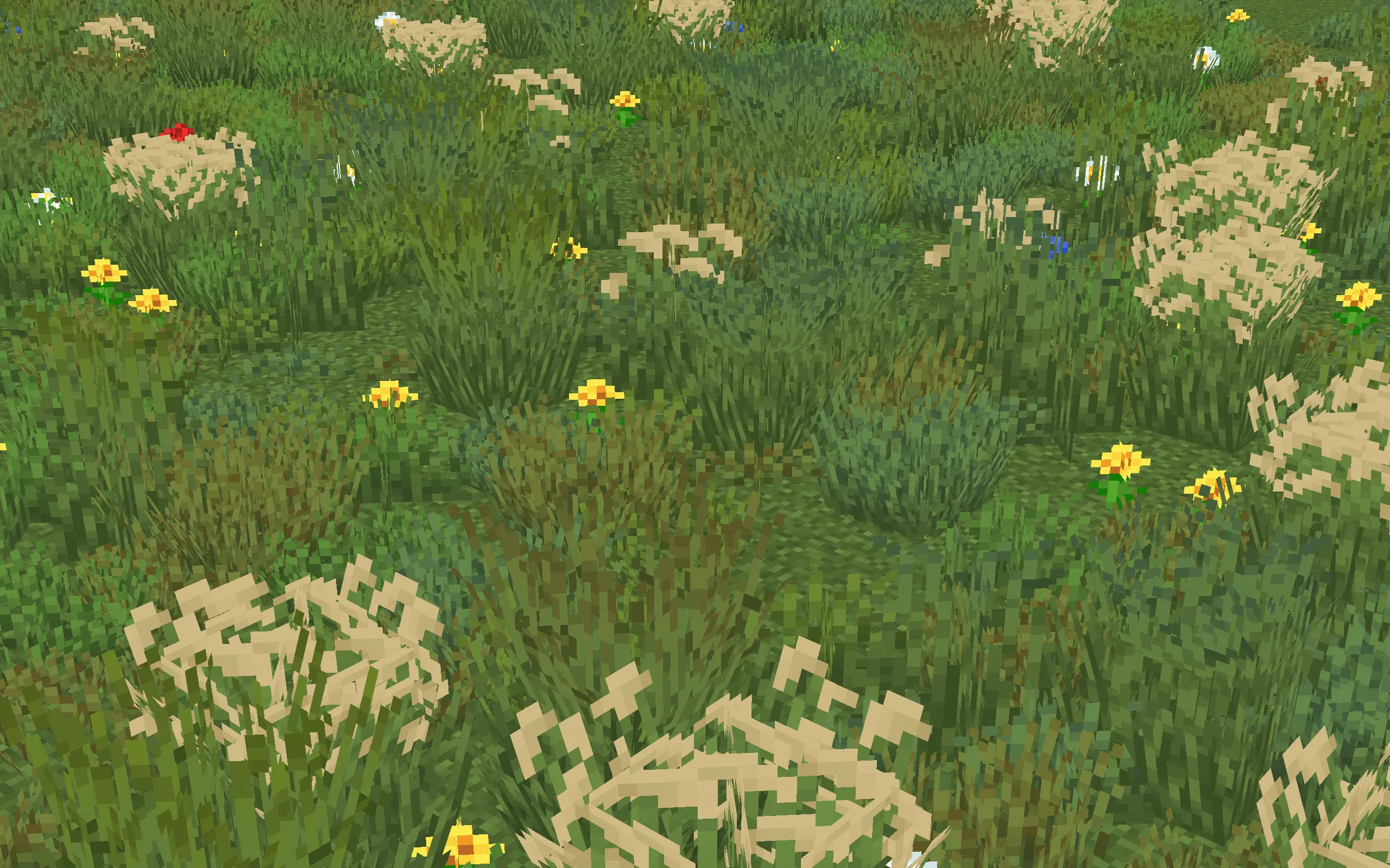 Os' Colorful Grasses