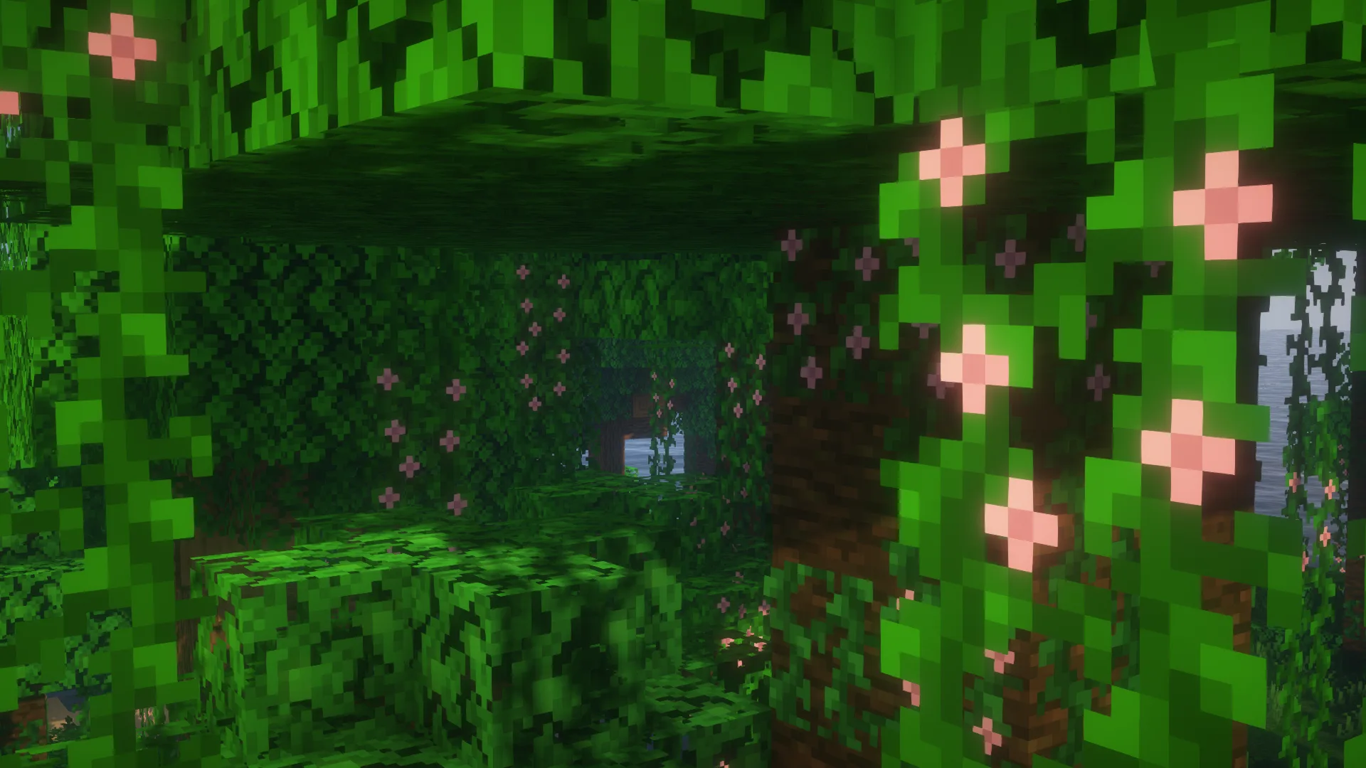 Pink Flowering Vines