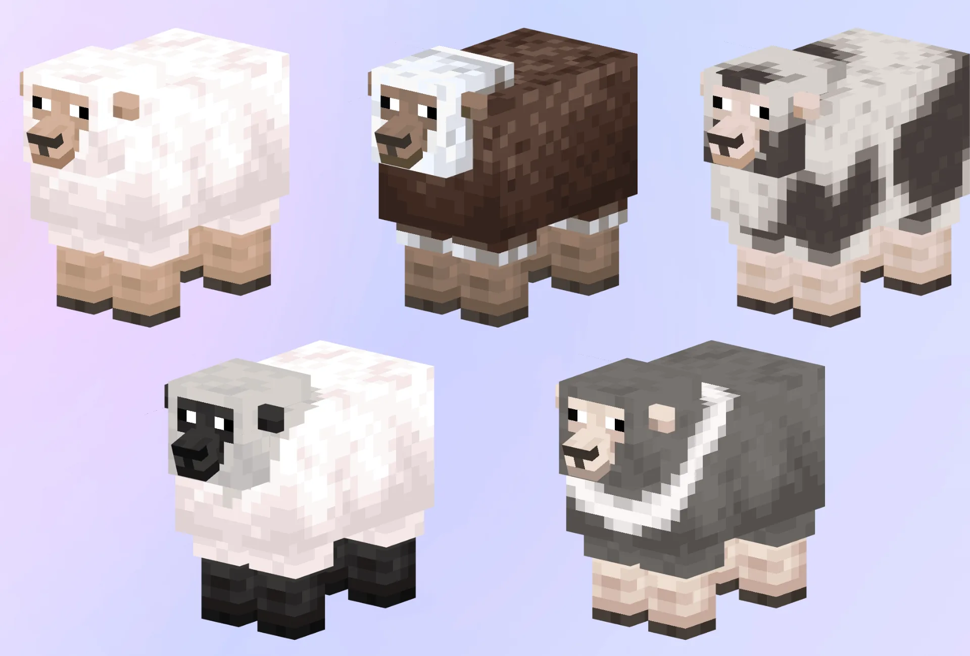 Prettier Sheep