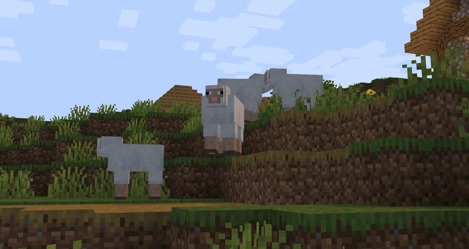 Изображение 4 шейдера Pumpkin