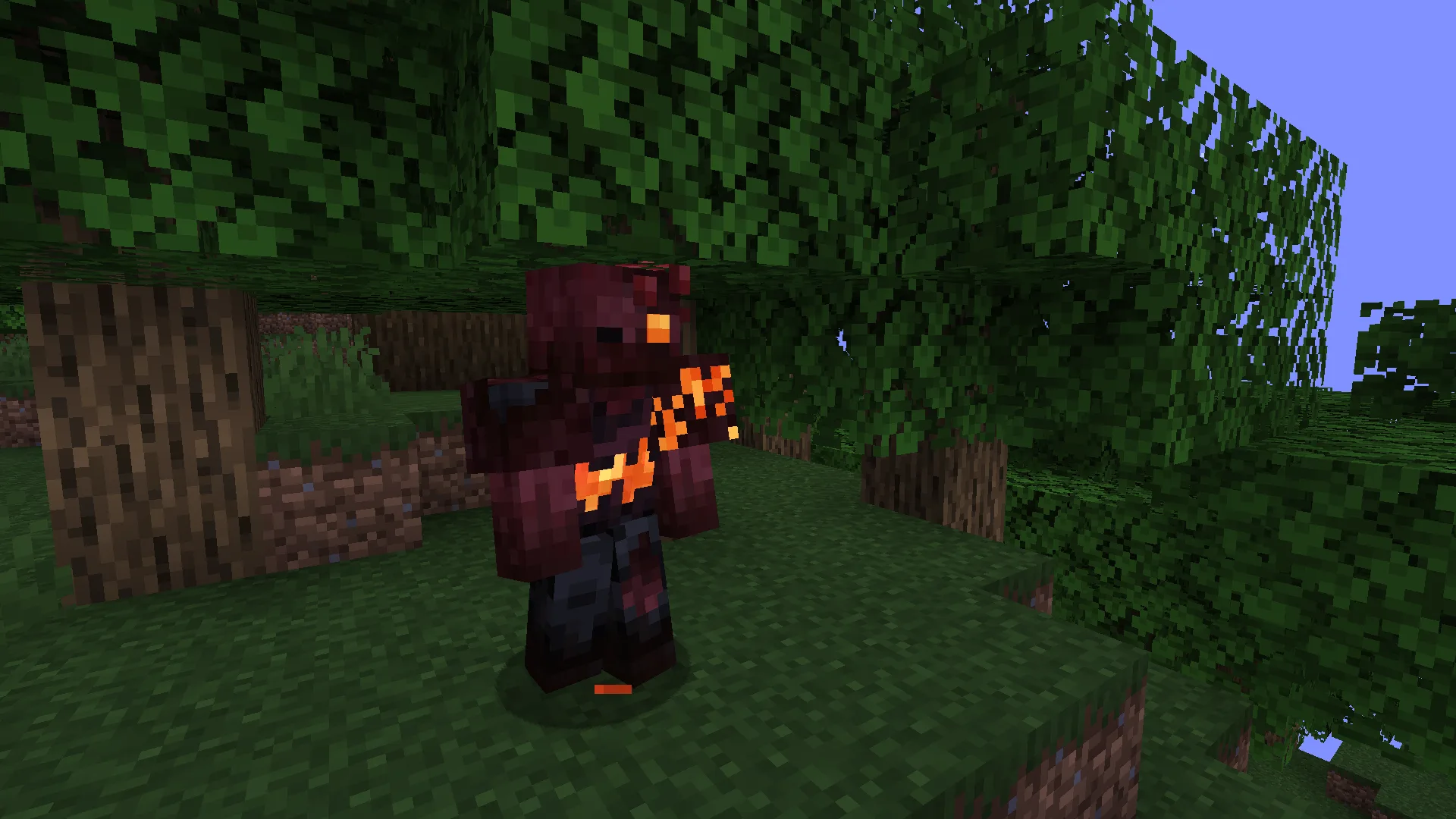 RC Animations
