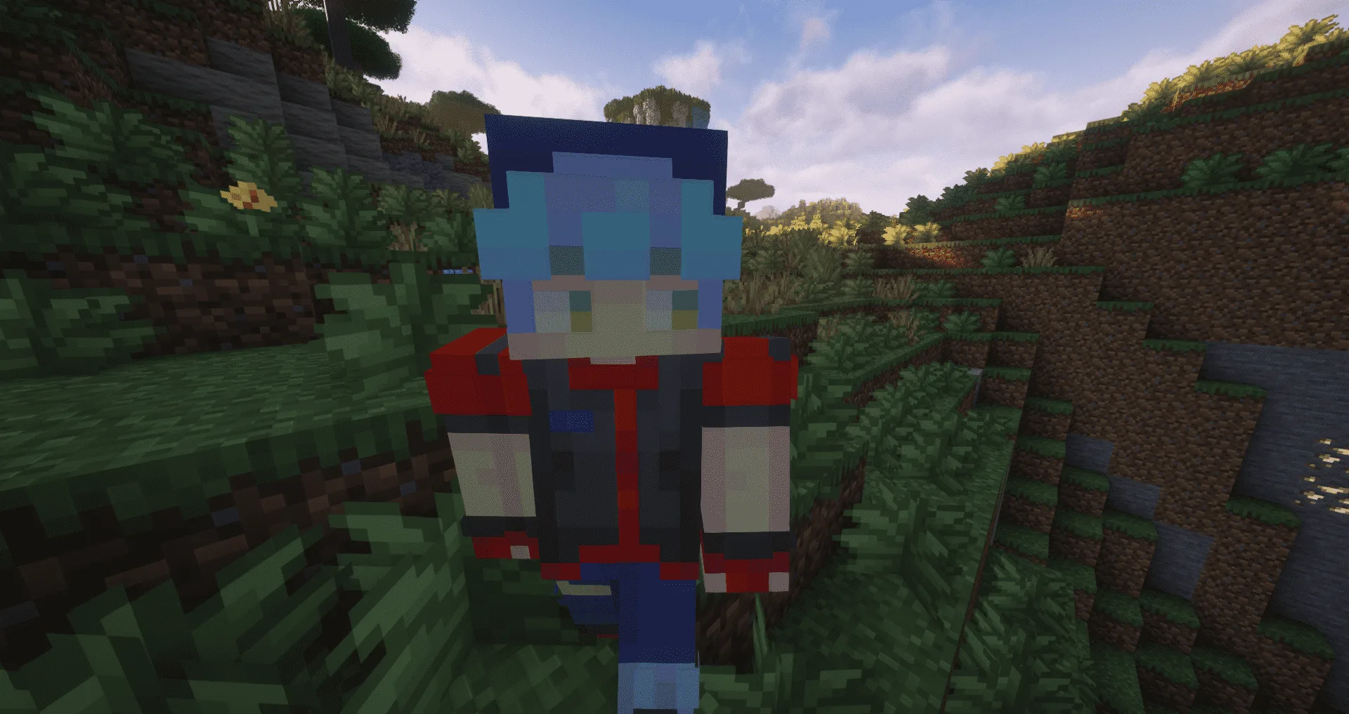 RCT Trainer Animation