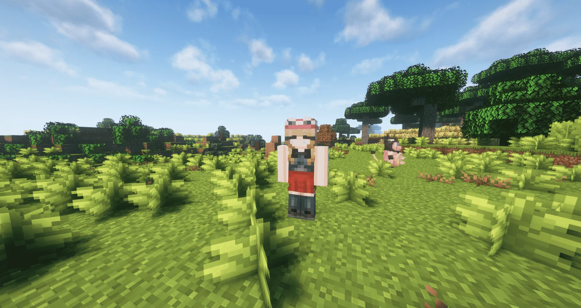 Изображение 3 ресурспака RCT Trainer Animation