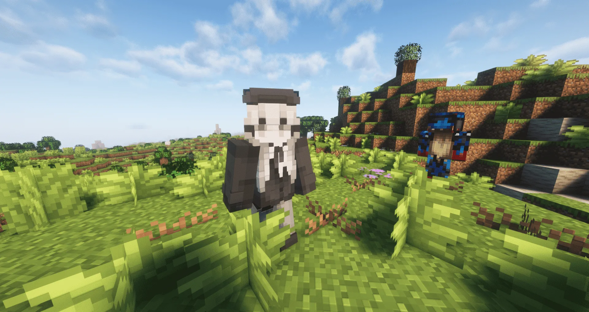 Изображение 4 ресурспака RCT Trainer Animation