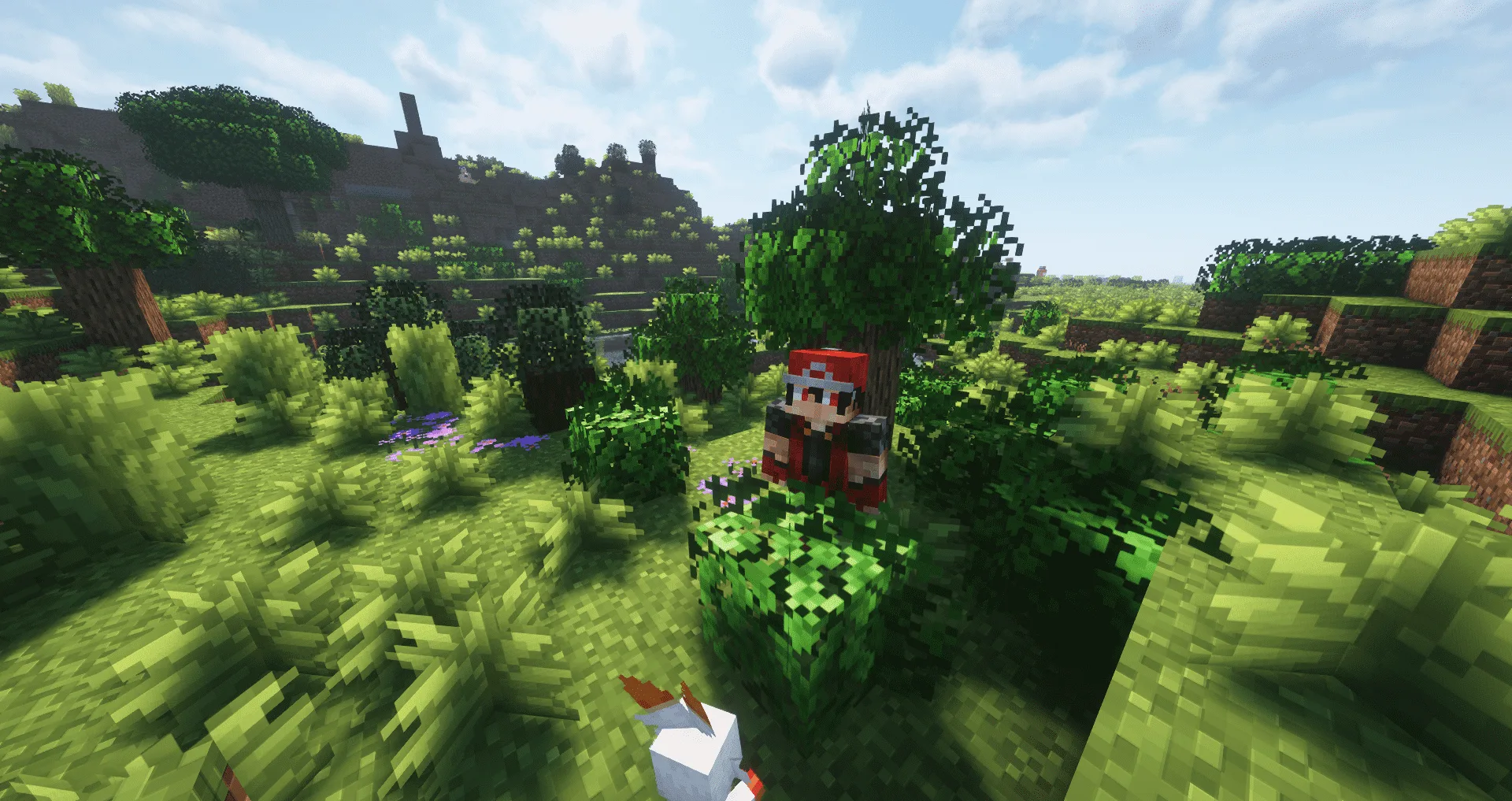 Изображение 5 ресурспака RCT Trainer Animation