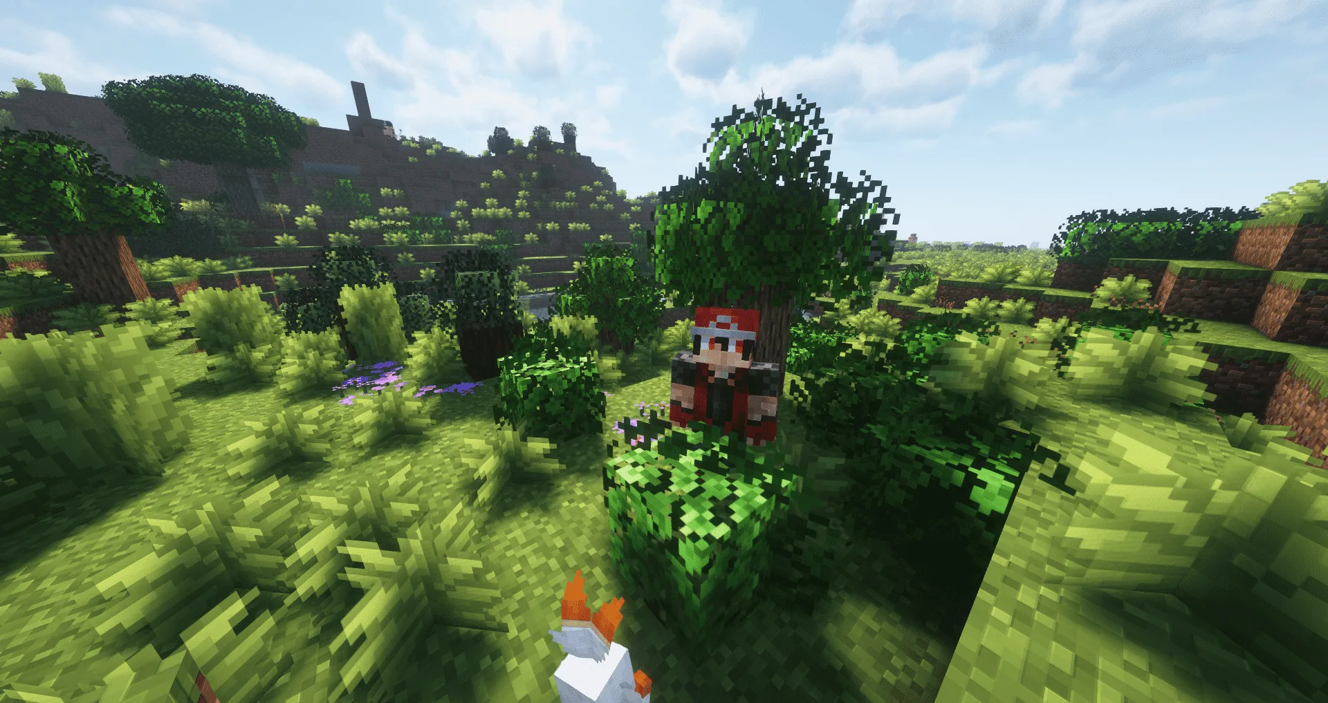 Изображение 6 ресурспака RCT Trainer Animation