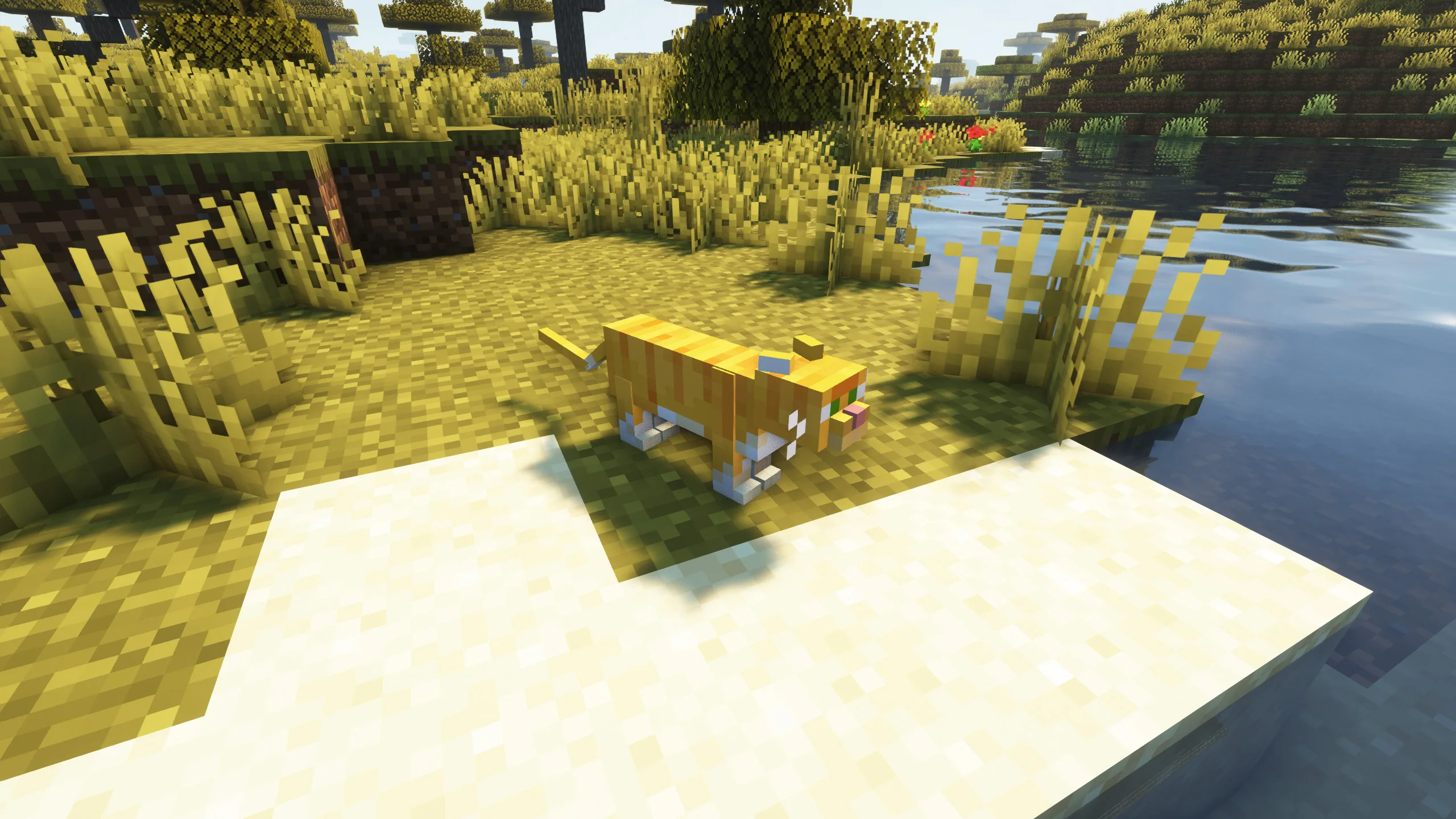 Изображение 1 ресурспака Realistic Cats