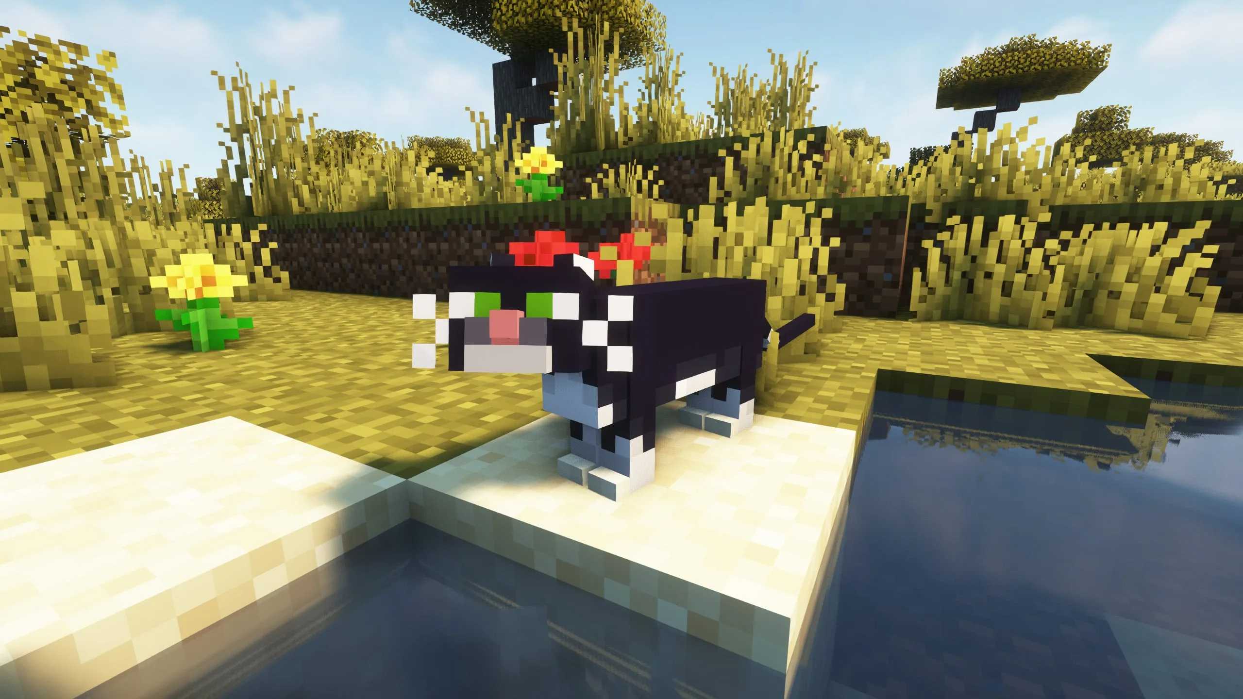 Изображение 3 ресурспака Realistic Cats