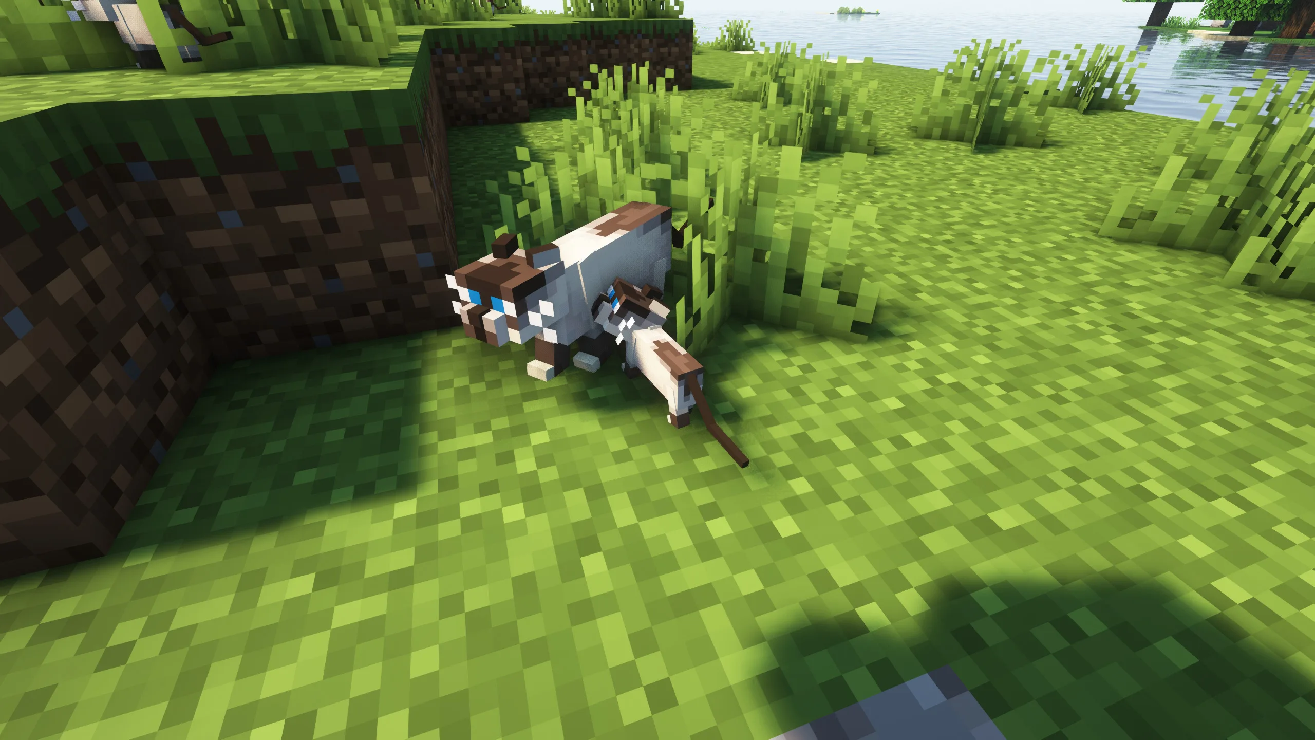 Изображение 4 ресурспака Realistic Cats