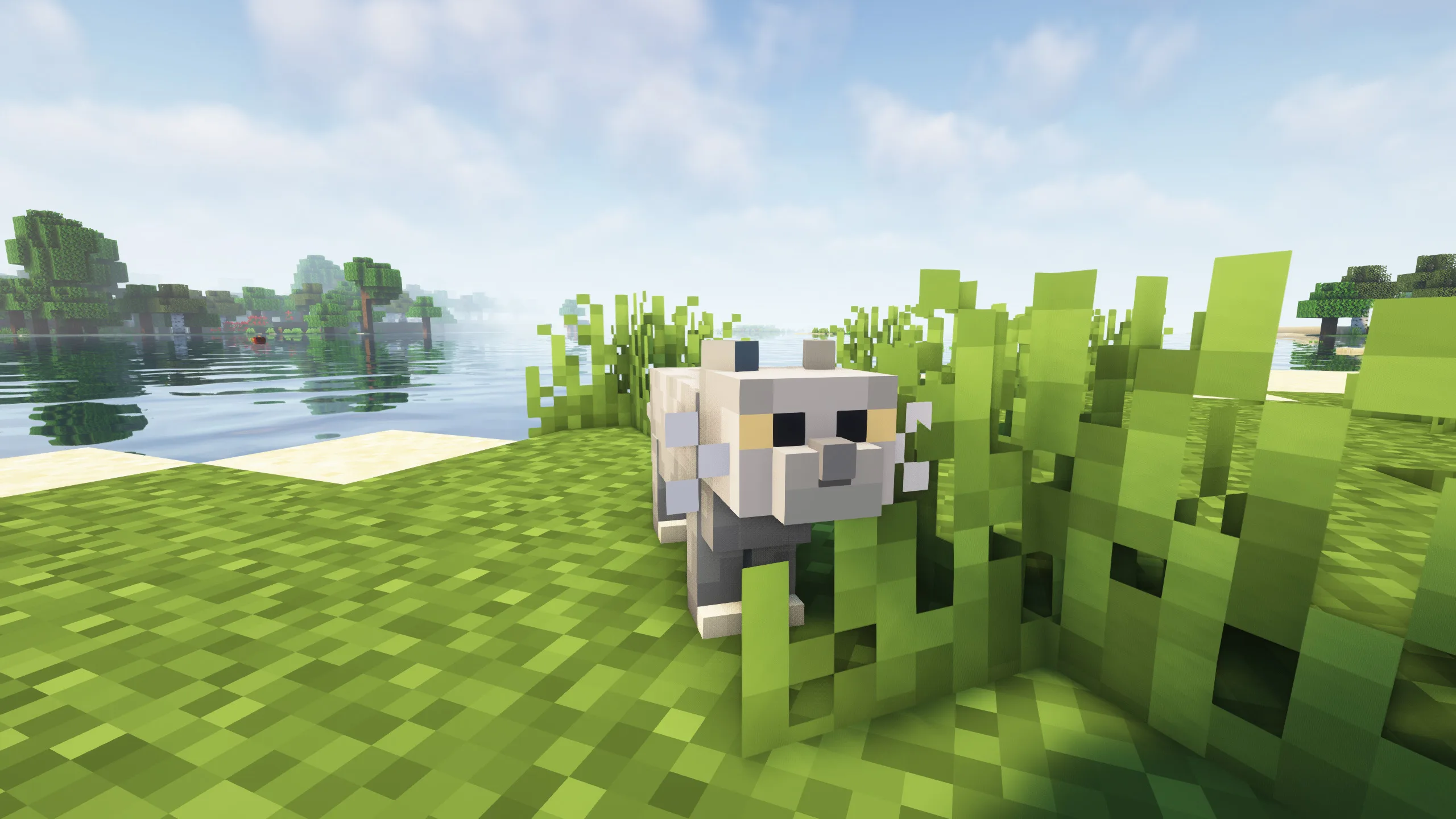 Изображение 5 ресурспака Realistic Cats