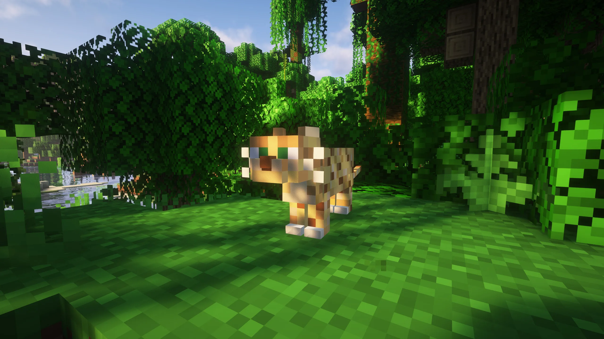 Изображение 4 ресурспака Realistic Ocelots