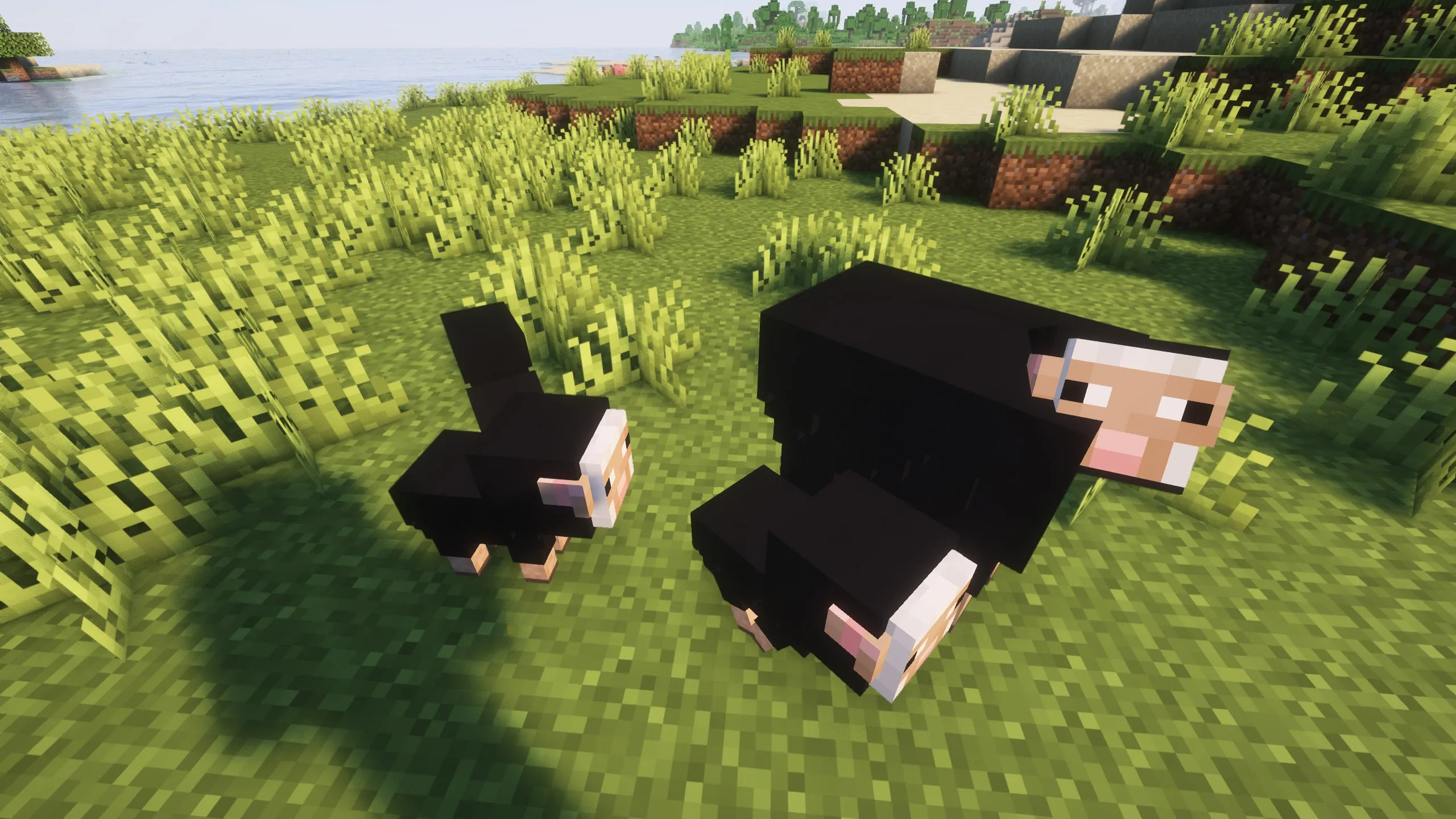 Изображение 6 ресурспака Realistic Sheeps