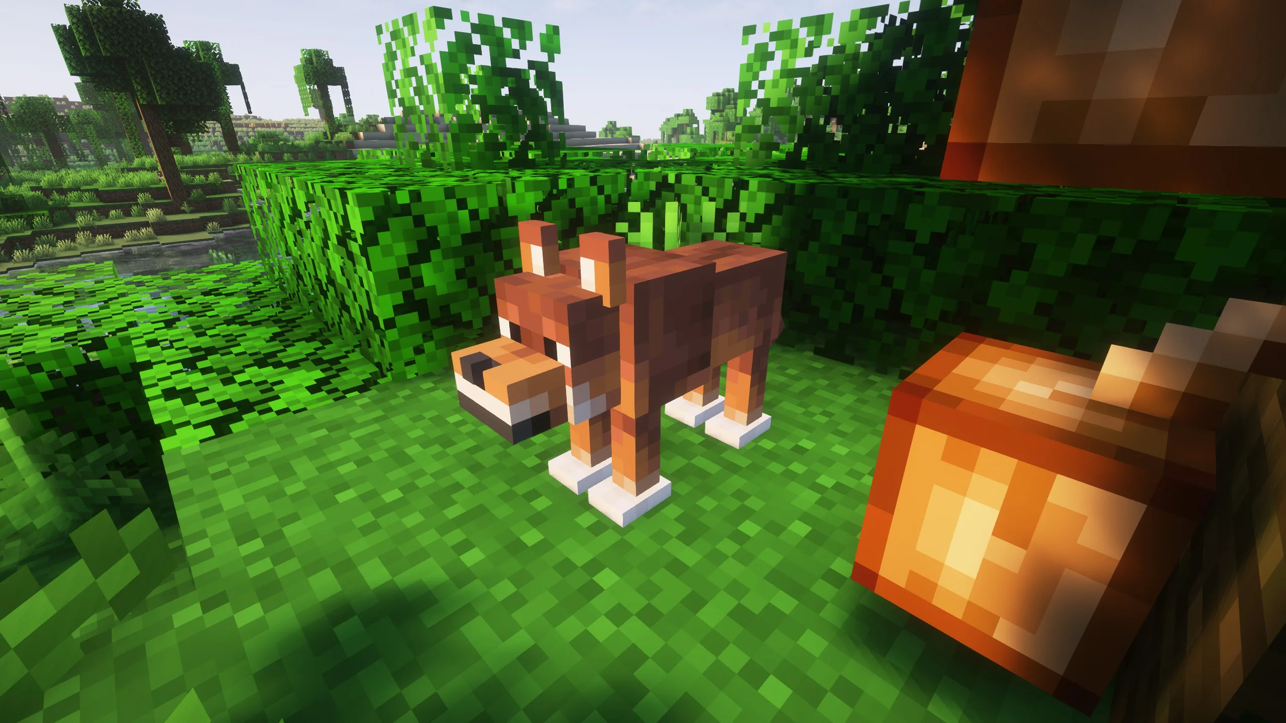 Изображение 2 ресурспака Realistic Wolves