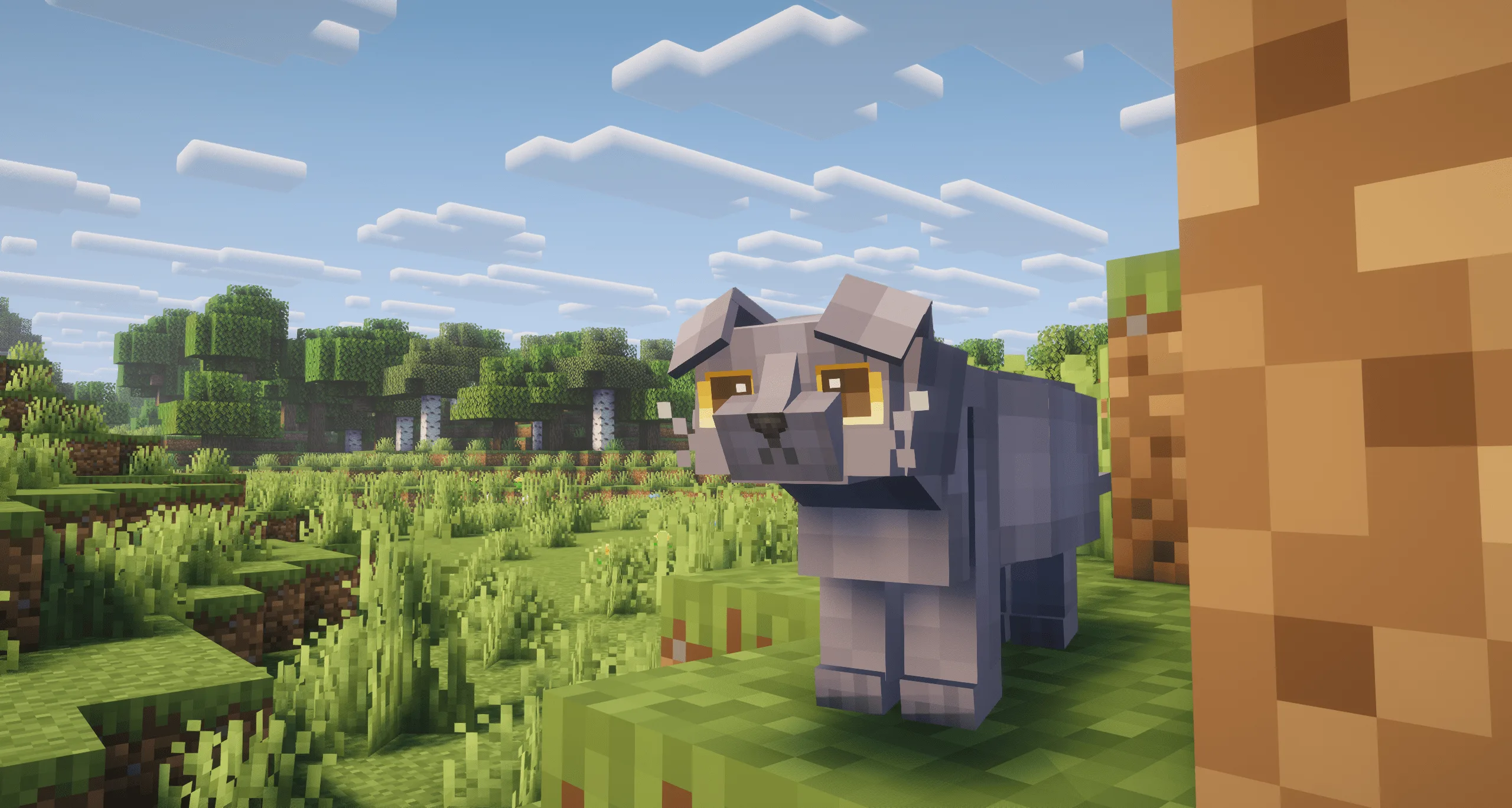 Изображение 5 ресурспака Refined Cats