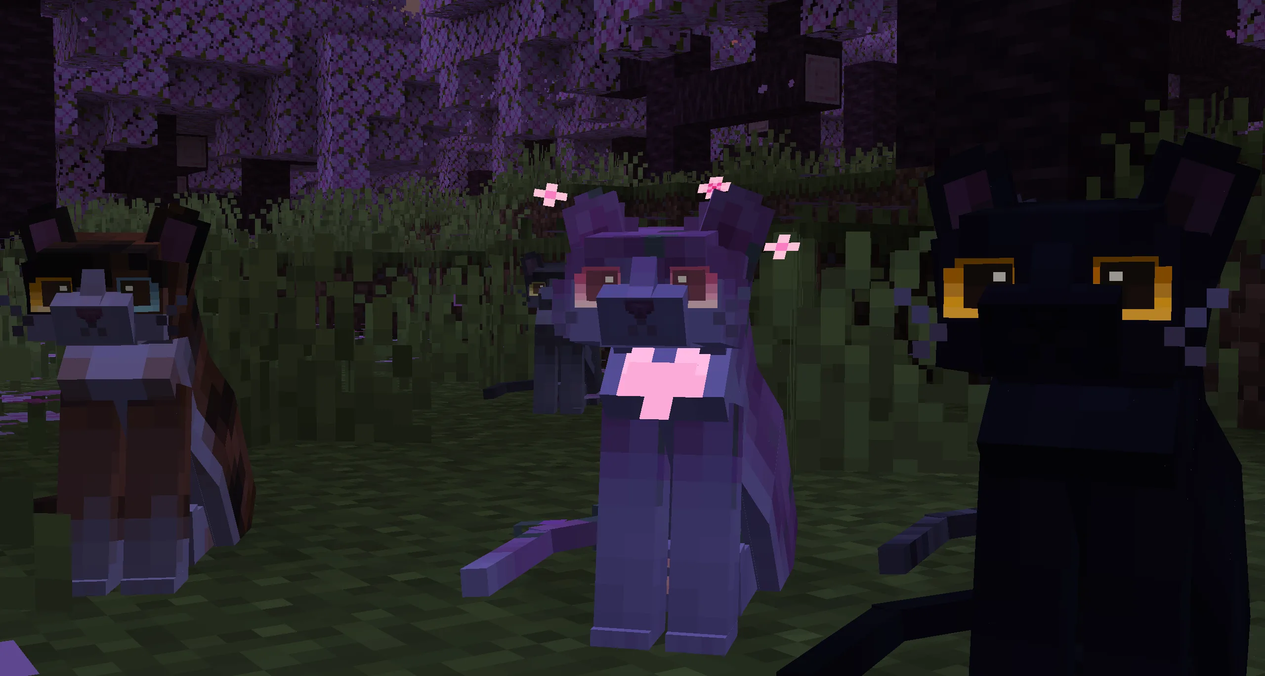 Изображение 6 ресурспака Refined Cats