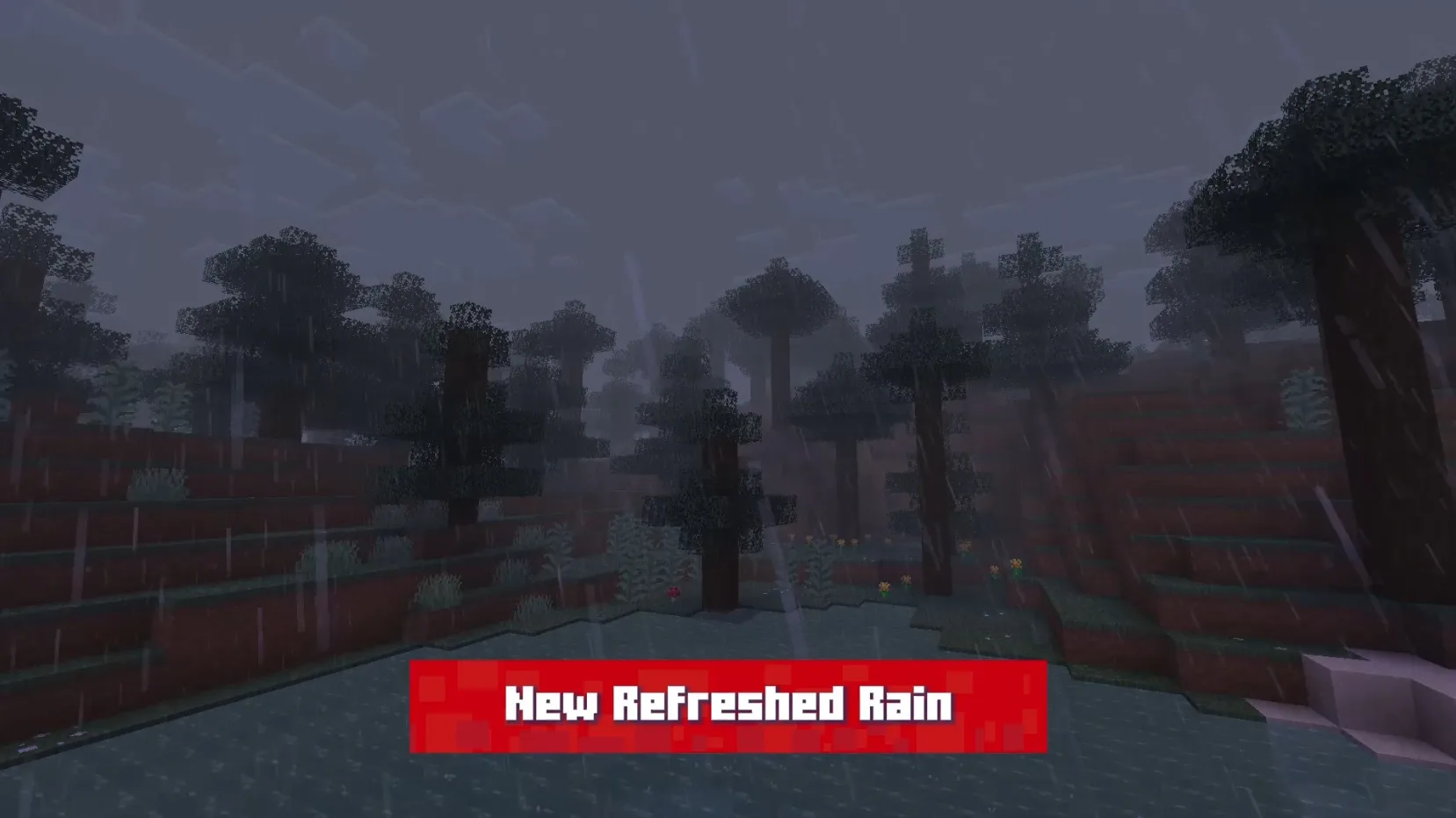 Refreshed!