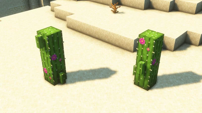 Remodeled Cactus