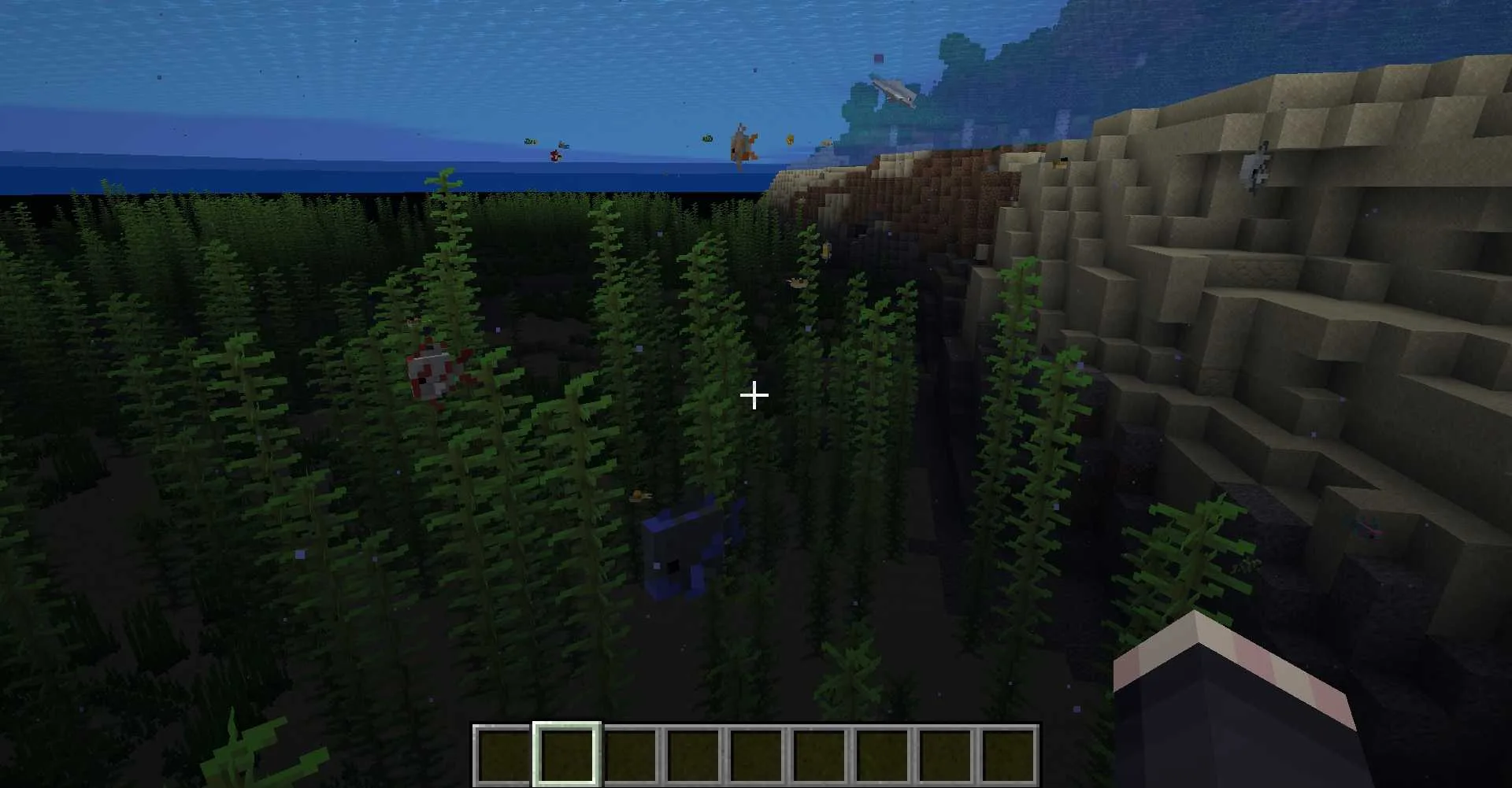 Изображение 3 ресурспака Remove Fog