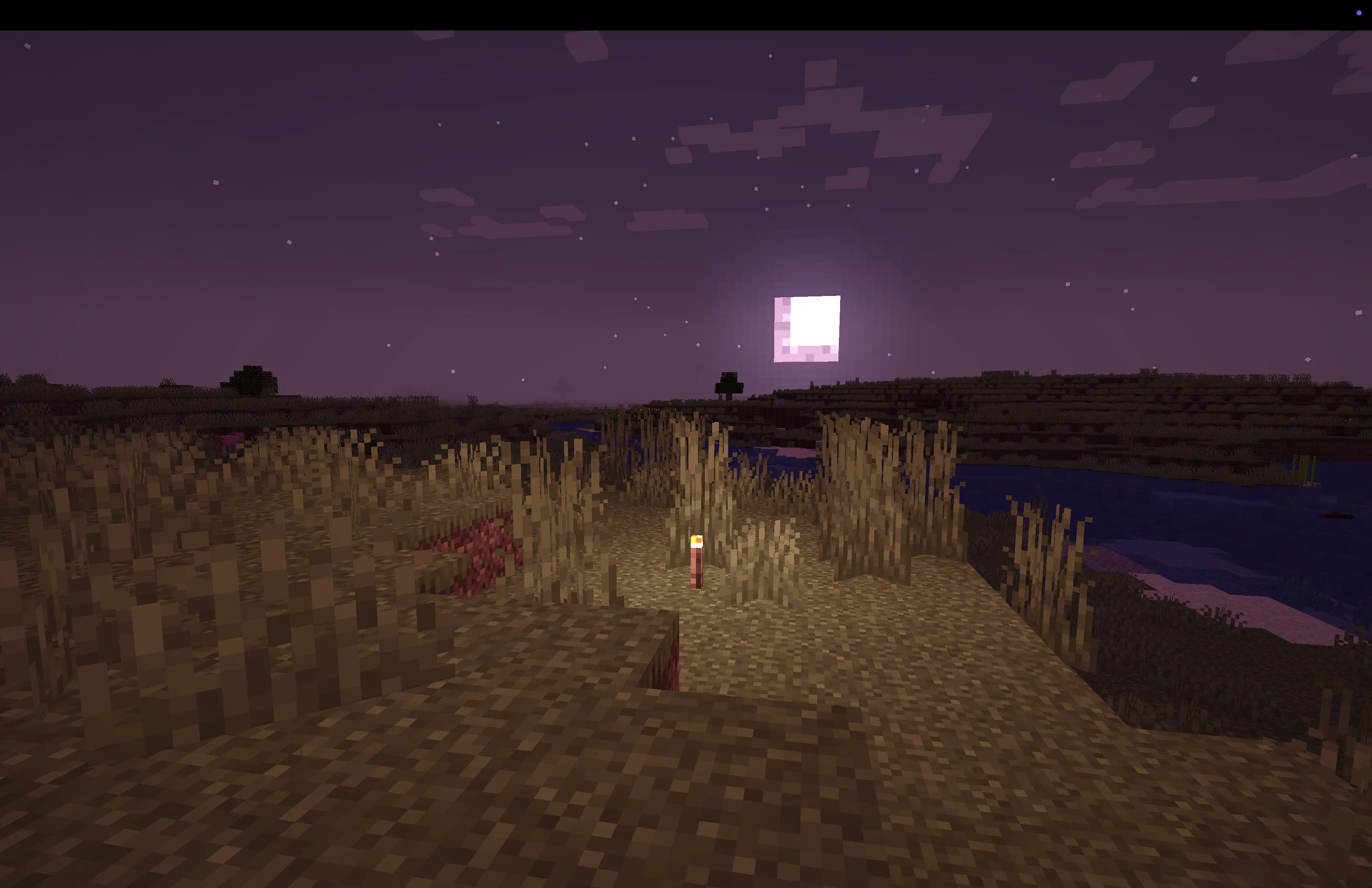 Rose World Shader