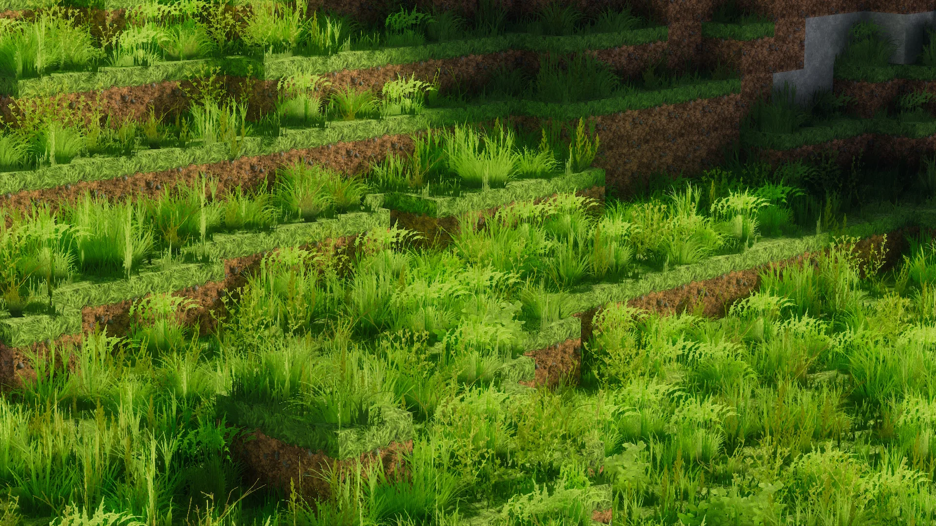 Изображение 1 ресурспака rotrBLOCKS: Dense Grass Addon