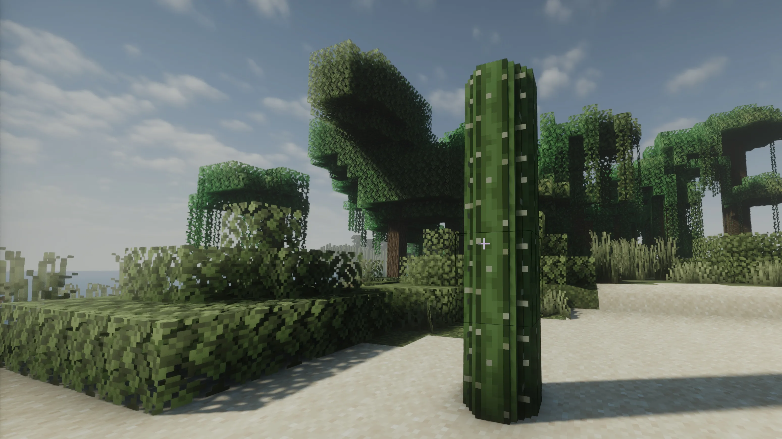 Round Cacti