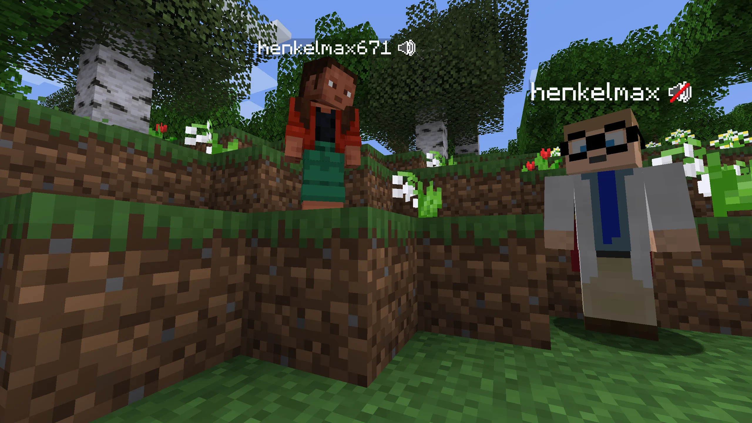 Изображение 1 мода Simple Voice Chat