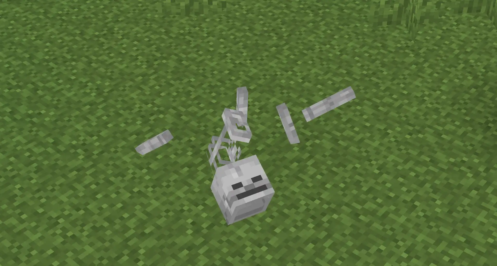 Изображение 2 ресурспака Skeleton Physics