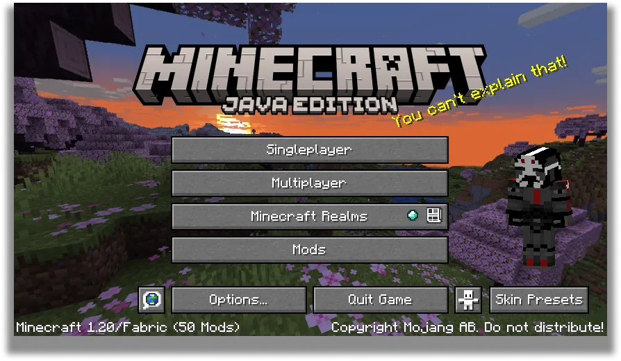 Изображение 3 мода Skin Shuffle