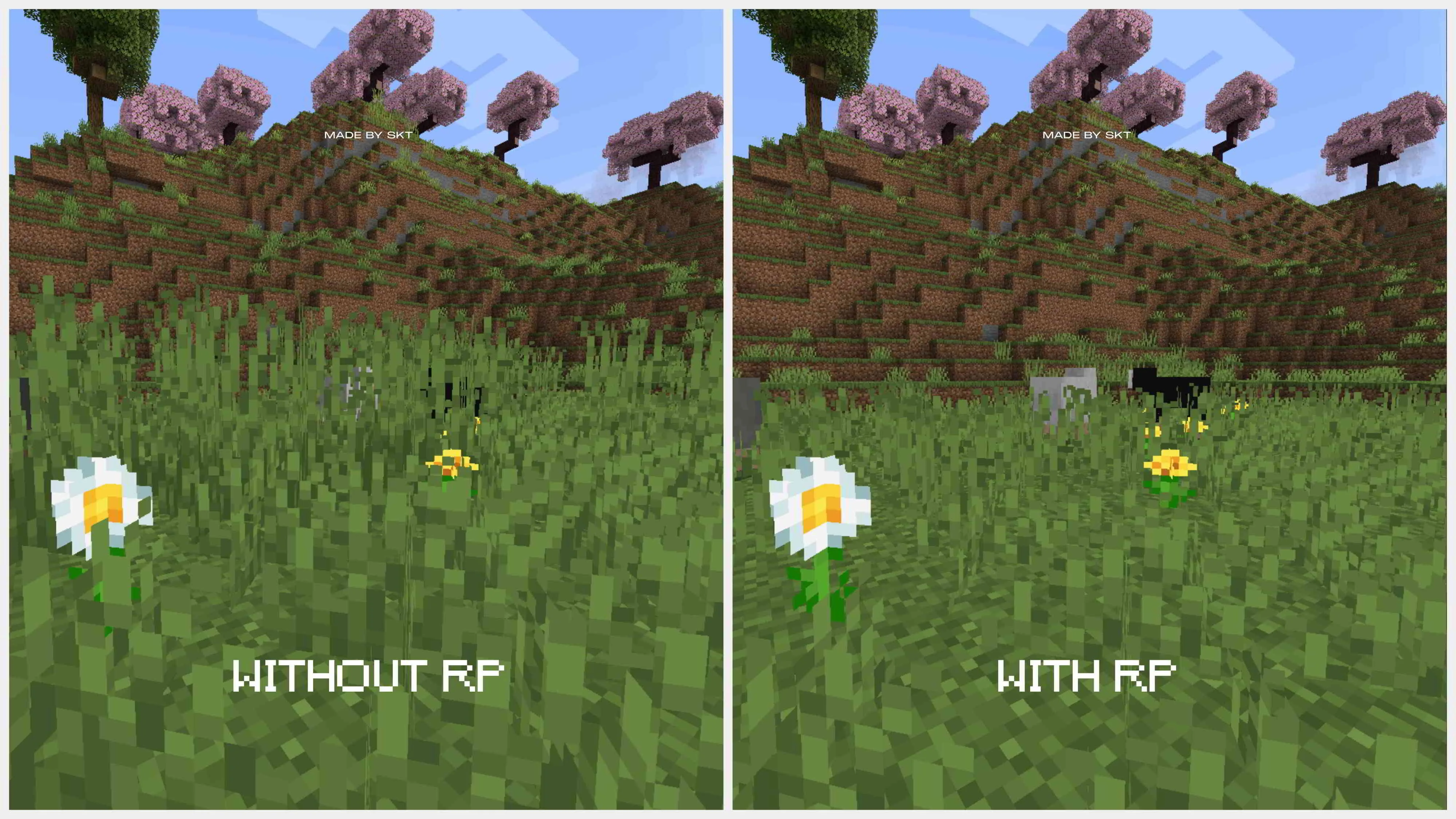 SKT - Shorter Grass
